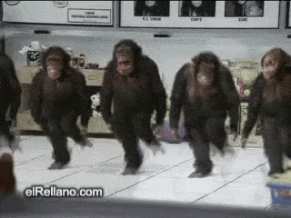 DancingMonkeys.gif