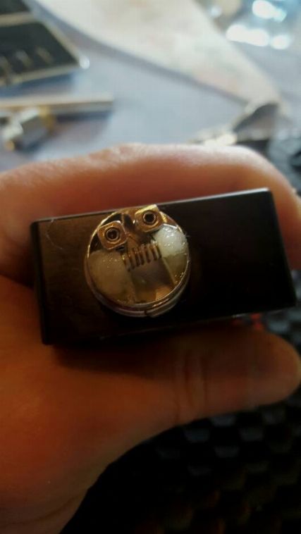 BOTTOM FEEDER WORLD ( Box, atom, new, e more...) NO CLONI !!!! [SigarettaElettronicaForum.com]