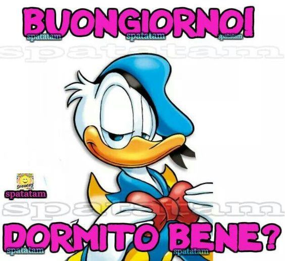dormitobene.jpg
