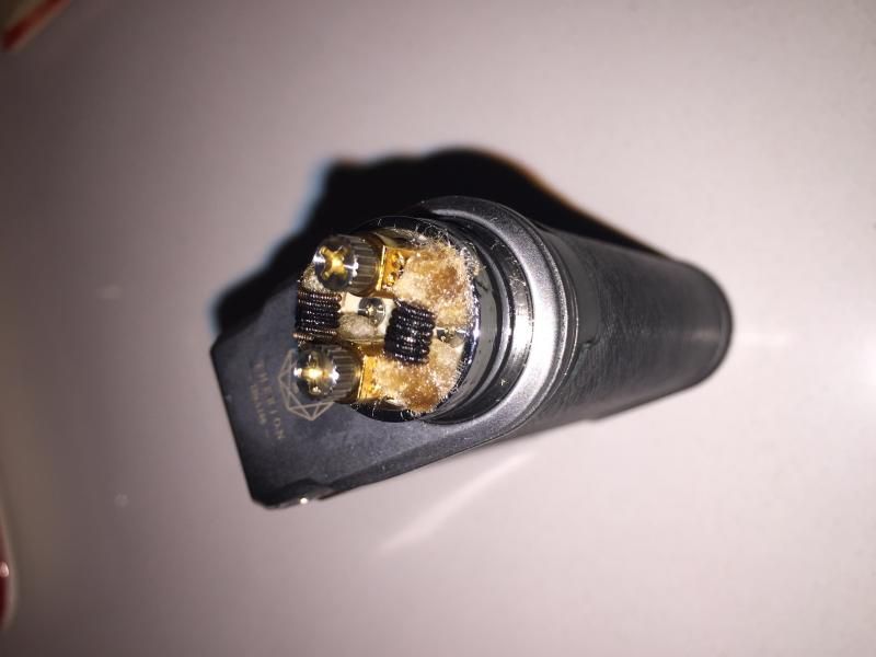 Dotmod Petri V2 SS Coil Bruciate [SigarettaElettronicaForum.com]