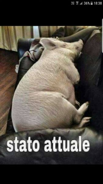 e8580e55400b55849f2c42f5f776ede1.jpg