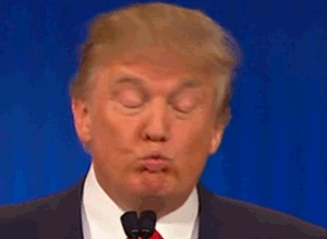 e9585872061c2063053a7ce4039a2538.gif