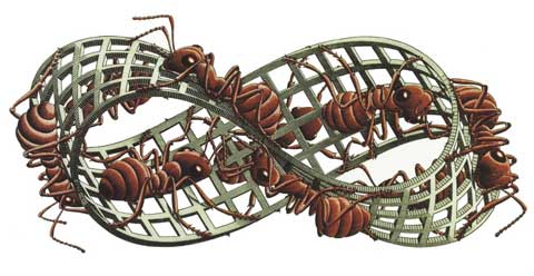 escher_moebius.jpg