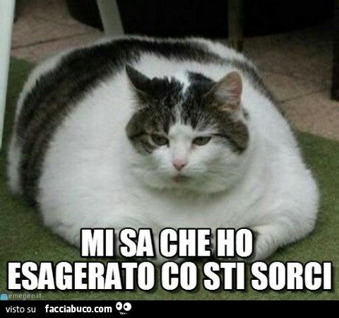 f3b9fe961c5c45cffbe68736fb9e3577.jpg