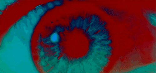 f856cd0b483d7bf2484e9806fbba519c.gif