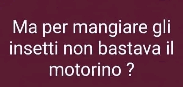 Aforismi: Saggezza Ed Umorismo [SigarettaElettronicaForum.com]