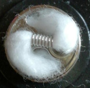 fev bf.jpg
