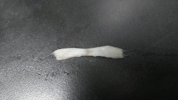 Dove sbaglio con DNA75 e tc ss316l? [SigarettaElettronicaForum.com]