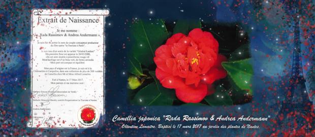 L'angolo Di Seresig 2 [SigarettaElettronicaForum.com]
