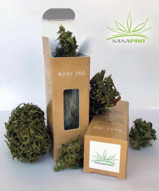 Come Si Produce La Cannabis Legale. [SigarettaElettronicaForum.com]