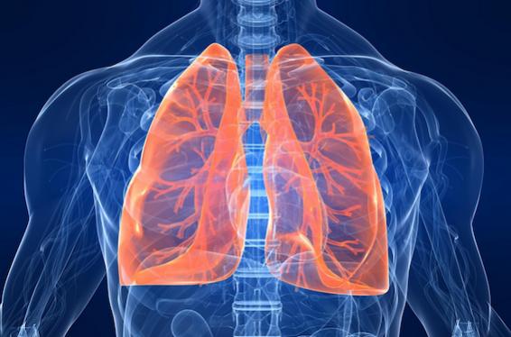 Azzopardi: Ecig Non E' Tossica Per Le Cellule Polmonari. [SigarettaElettronicaForum.com]