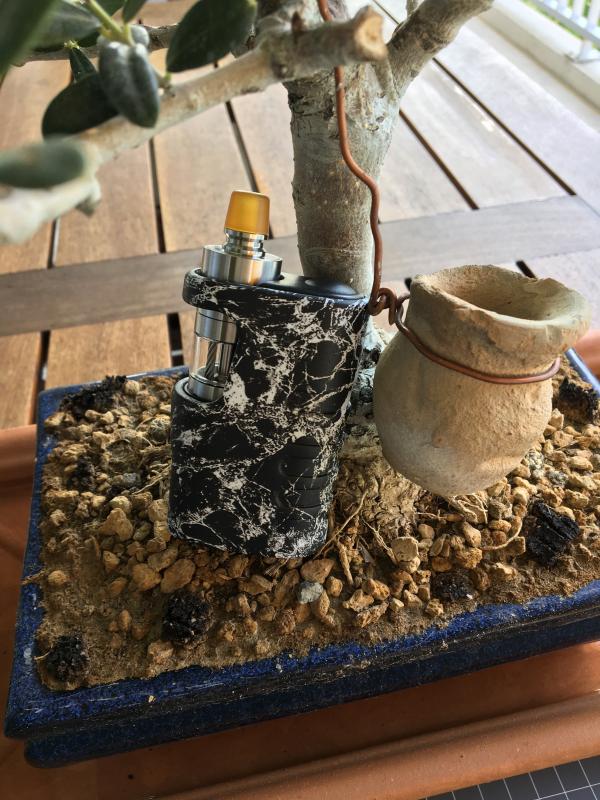 Vampire V2 Rta [SigarettaElettronicaForum.com]