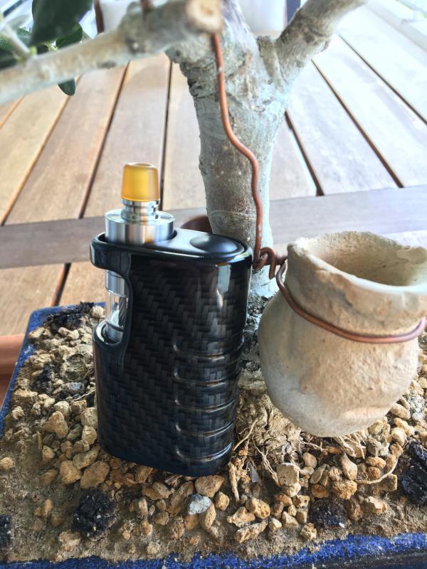 Vampire V2 Rta [SigarettaElettronicaForum.com]