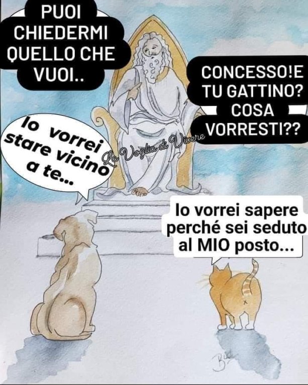 Aforismi: Saggezza Ed Umorismo [SigarettaElettronicaForum.com]