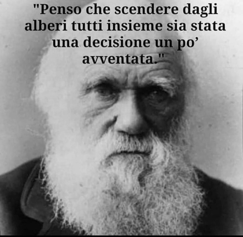 Aforismi: Saggezza Ed Umorismo [SigarettaElettronicaForum.com]