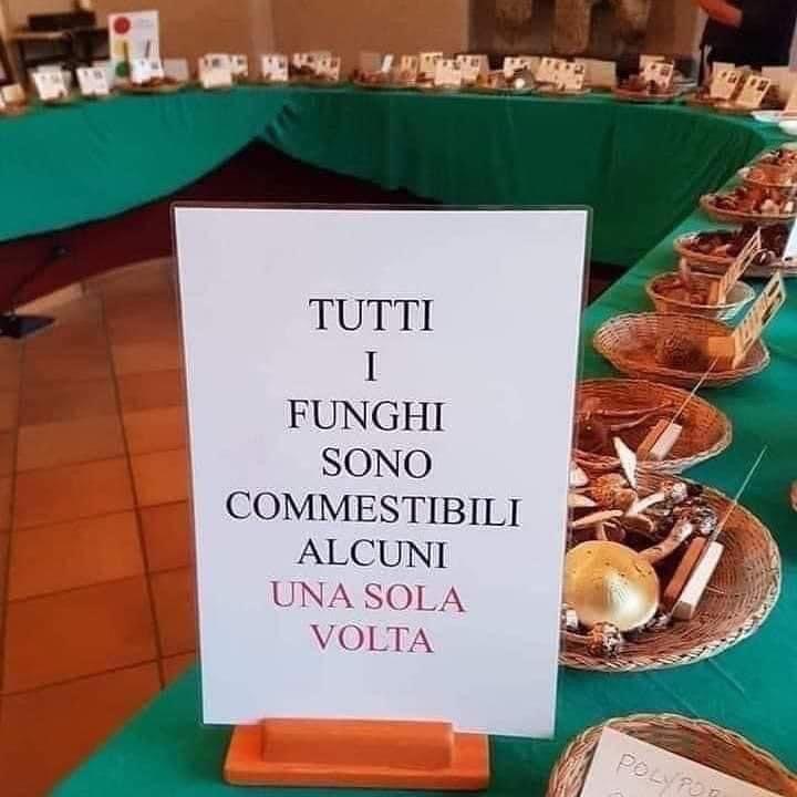 Aforismi: Saggezza Ed Umorismo [SigarettaElettronicaForum.com]
