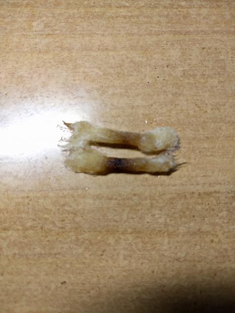 Problema Con Rigenerazione TFV8 Big Beast [SigarettaElettronicaForum.com]