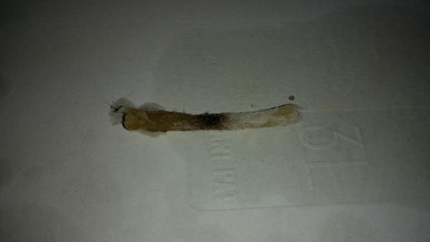 Dove sbaglio con DNA75 e tc ss316l? [SigarettaElettronicaForum.com]