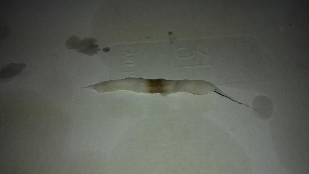 Dove sbaglio con DNA75 e tc ss316l? [SigarettaElettronicaForum.com]