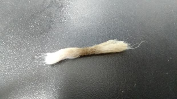 Dove sbaglio con DNA75 e tc ss316l? [SigarettaElettronicaForum.com]