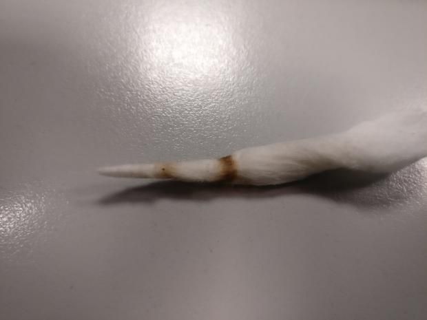Zirconium wire [SigarettaElettronicaForum.com]