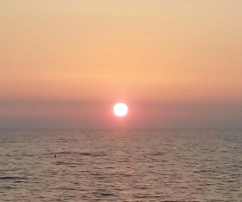 IMG_20180810_003530.jpg