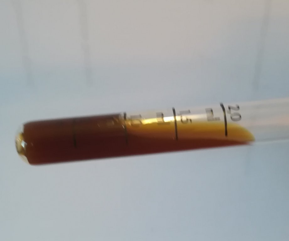 IMG_20220115_154618.jpg