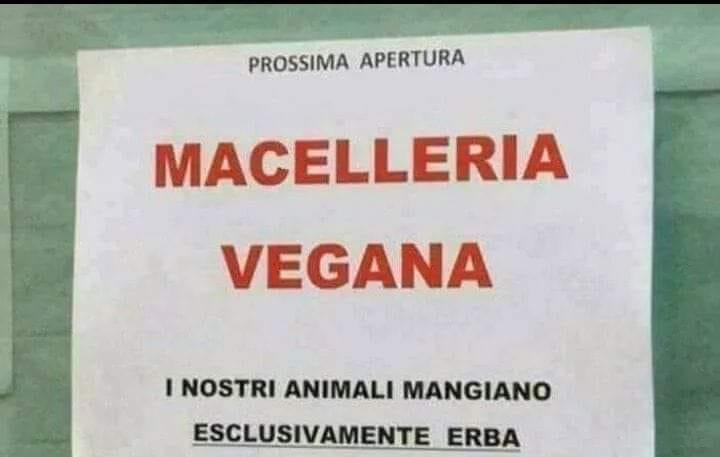 Aforismi: Saggezza Ed Umorismo [SigarettaElettronicaForum.com]