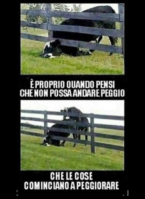 Aforismi: Saggezza Ed Umorismo [SigarettaElettronicaForum.com]