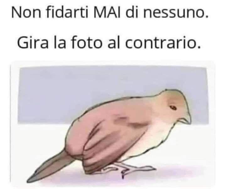Aforismi: Saggezza Ed Umorismo [SigarettaElettronicaForum.com]
