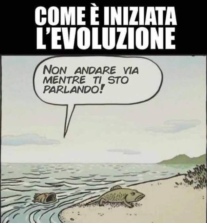 Aforismi: Saggezza Ed Umorismo [SigarettaElettronicaForum.com]
