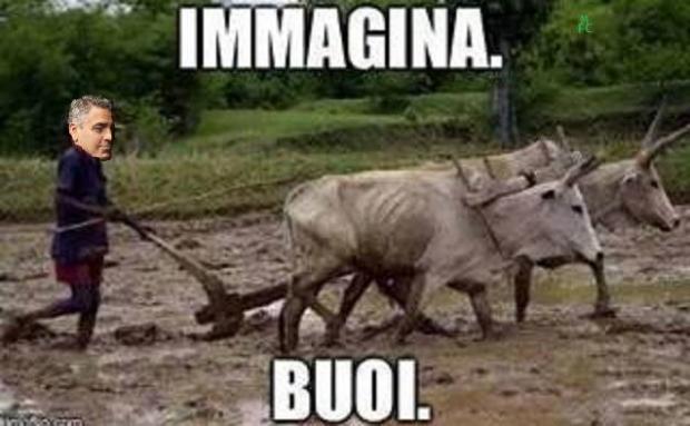 immagina buoi.jpg