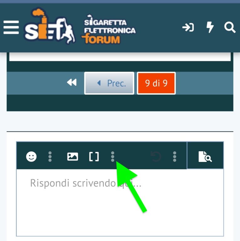 ins immagine sef 1.jpg