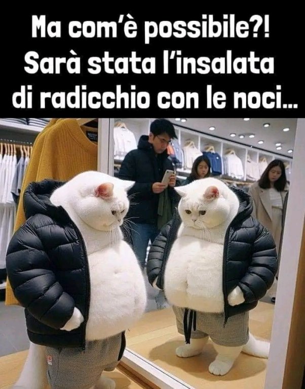 Aforismi: Saggezza Ed Umorismo [SigarettaElettronicaForum.com]