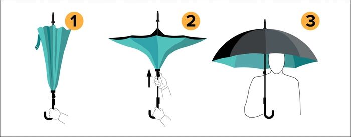 Kazbrella.jpg