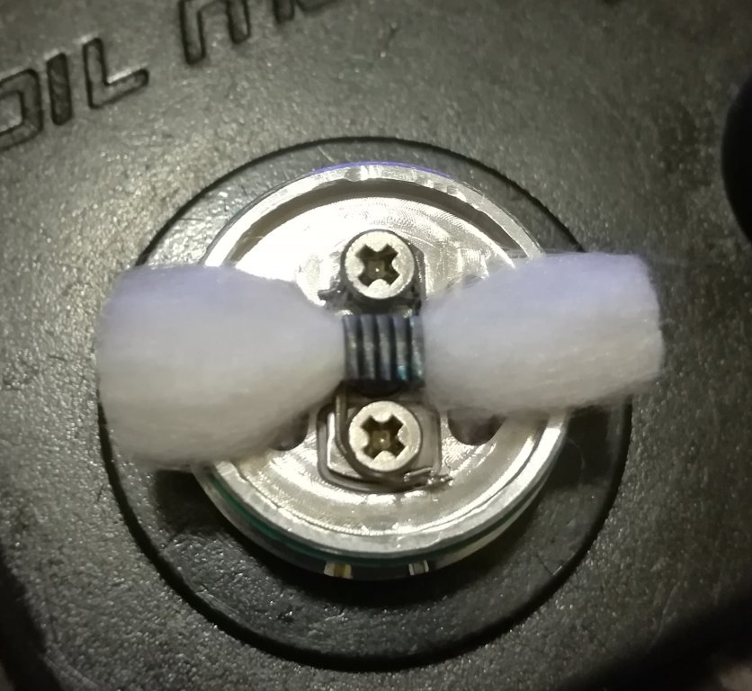 Labs lunghezza baffi cotone.jpg