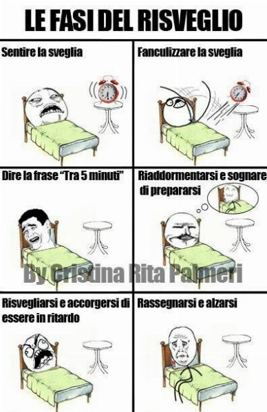 le-fasi-del-risveglio.jpg