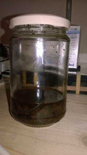 macerato.jpg