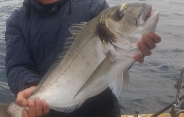 la pesca non è per tutti [SigarettaElettronicaForum.com]