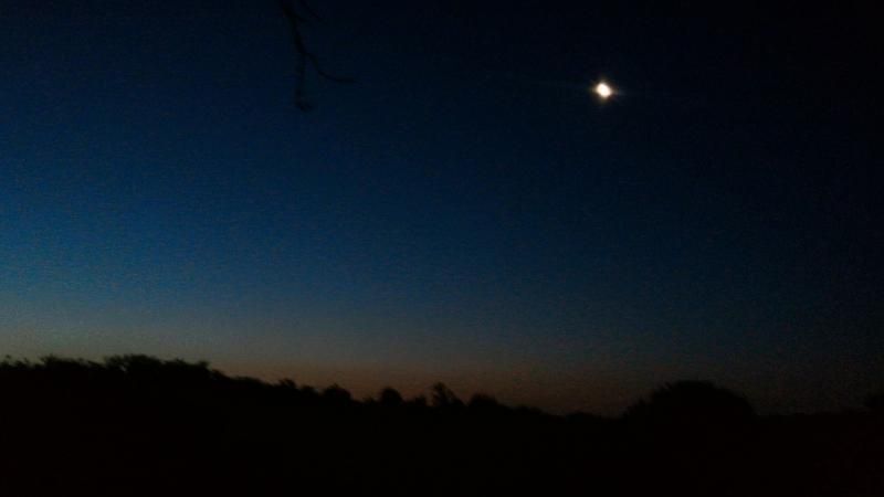 P_20180708_044655_HDR.jpg