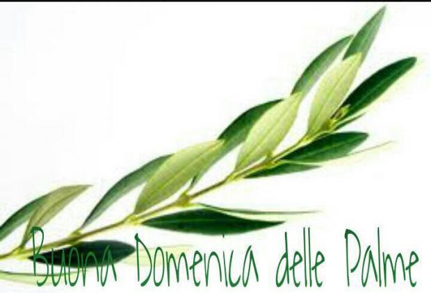 palme.jpg