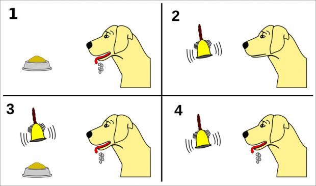 pavlov1.jpg