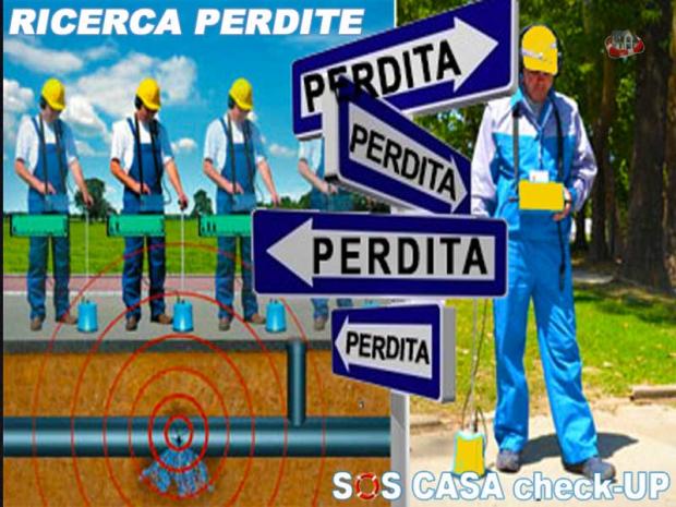 perdita.jpg