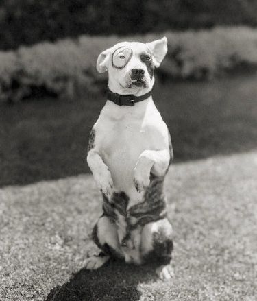 Petey.jpg