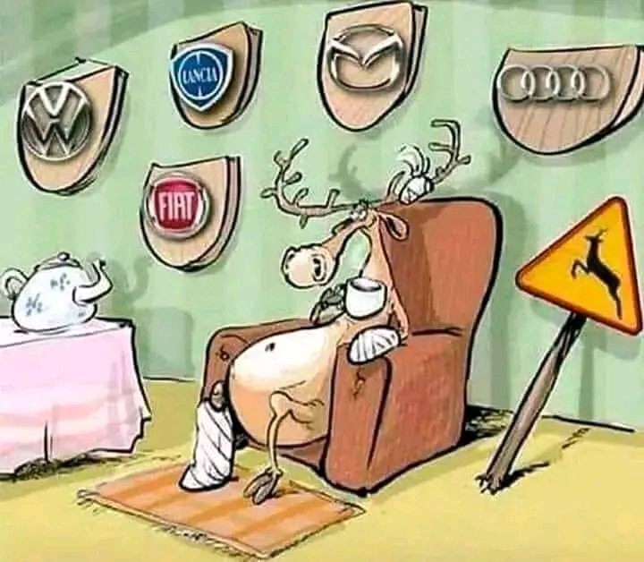 Aforismi: Saggezza Ed Umorismo [SigarettaElettronicaForum.com]