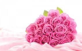 rose.jpg