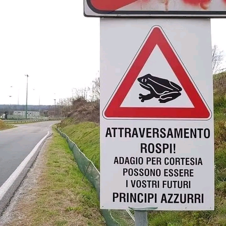 rospi.jpg