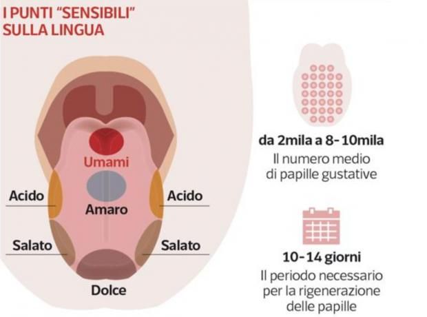 Aiuto E-cig [SigarettaElettronicaForum.com]
