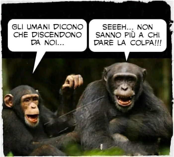 Aforismi: Saggezza Ed Umorismo [SigarettaElettronicaForum.com]