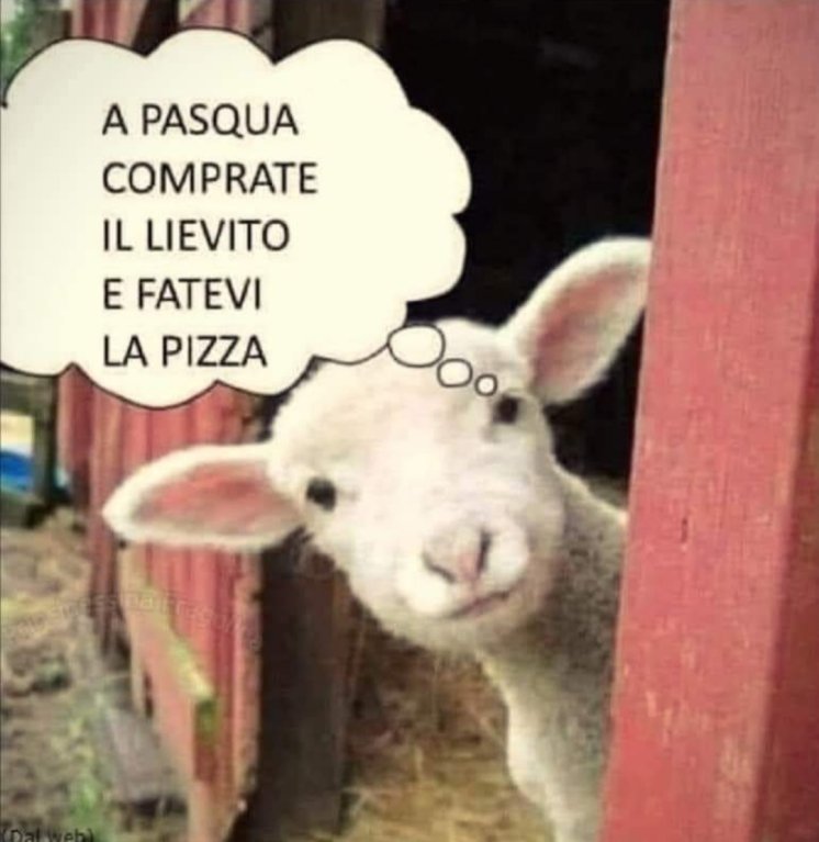 Aforismi: Saggezza Ed Umorismo [SigarettaElettronicaForum.com]